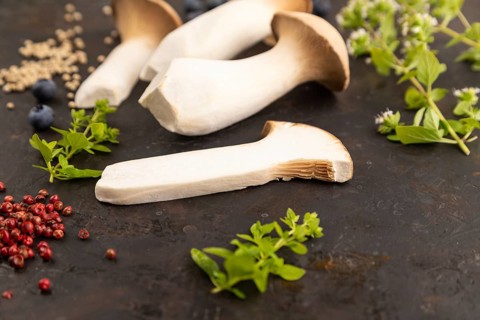 King Oyster mushrooms or Eringi (Pleurotus eryngii) on black concrete background with blueberry,