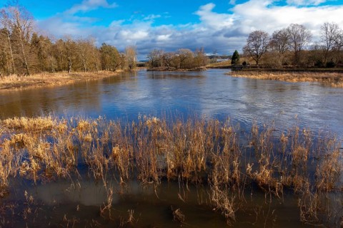 Confluence of the Breg and Brigach rivers to form the Danube, source of the Danube, Donaueschingen,