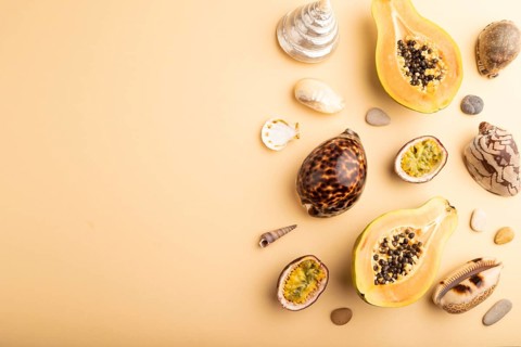 Ripe cut papaya, passion fruit, seashells, pebbles on orange pastel background. Top view, flat lay,