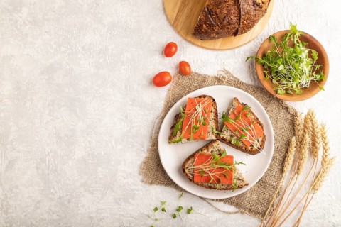 Grain bread sandwiches with red tomato cheese and mizuna cabbage microgreen on gray concrete