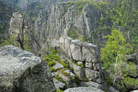 View of rocks and trees in the Bode Valley from the Hexentanzplatz, view of the Rosstrappe, steep