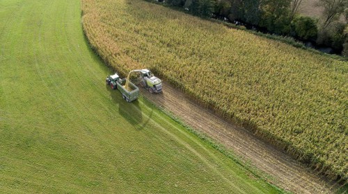 Tractor and maize chopper harvesting maize in Bavaria, Germany, Europe
