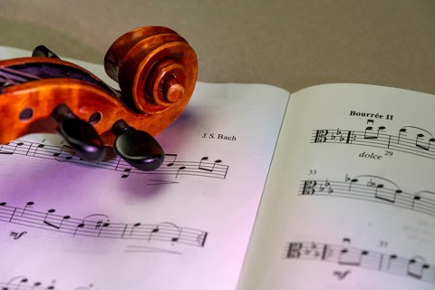 Detailed view of a violin with scroll and pegbox in front of sheet music, studio photograph,