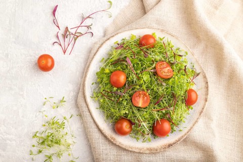 Vegetarian vegetables salad of tomatoes, celery, onion microgreen sprouts on gray concrete