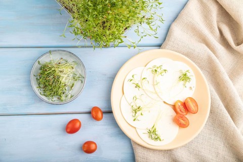 White cheese with tomatoes and cilantro microgreen on blue wooden background and linen textile. top