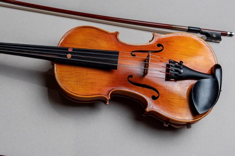Half viola, with bow in front of a white background, studio photograph, Germany, Europe