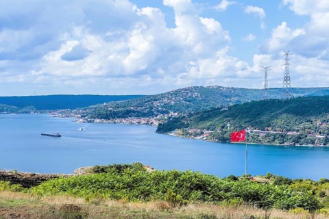 Bosporus Strait seen from hillside with ships and city buildings in background in Istanbul,
