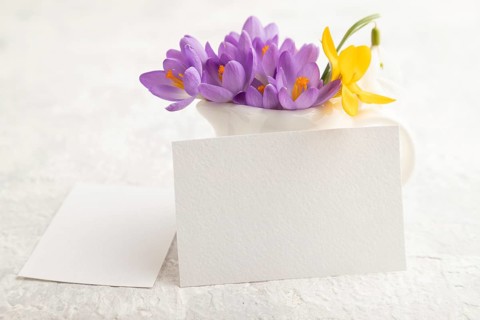 White paper business card mockup with spring snowdrop crocus and galanthus flowers on gray concrete