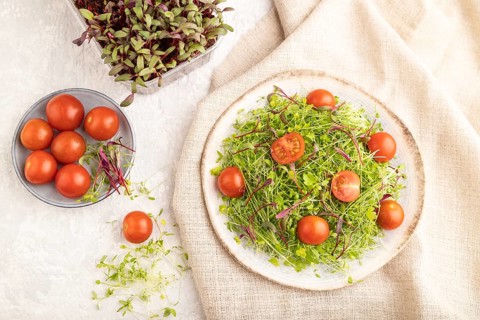 Vegetarian vegetables salad of tomatoes, celery, onion microgreen sprouts on gray concrete