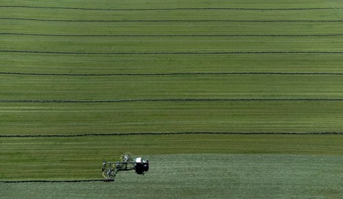 Farmer cutting grass to straight rows with tractor and large roundabout rake, drone shot, Upper