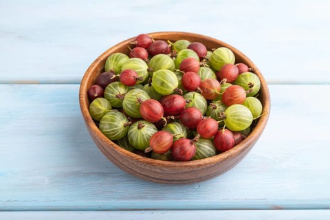 Fresh red and green gooseberry in wooden bowl on blue wooden background. side view, close up