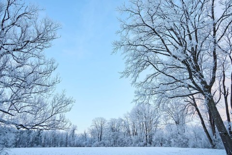 Snowy winter landscape near Polling an der Ammer. Polling, Paffenwinkel, Upper Bavaria, Germany,