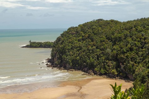 Bako national park, sea sandy beach, sunny day, blue sky and sea. Vacation, travel, tropics