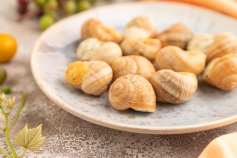 Grape (Burgundy) snails with butter and cheese on brown concrete background and orange textile.