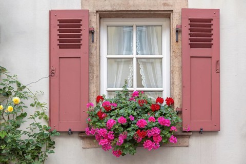 Muntin windows with red shutters, floral decoration, Palatinate, Rhineland-Palatinate, Germany,