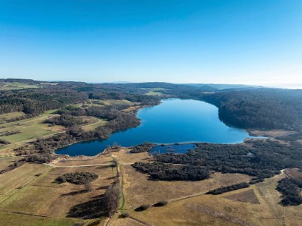 Aerial view of Lake Mindelsee, a glacier tongue lake on the Bodanrueck, district of Constance,
