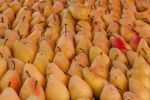 Sale of pears, Oezdere weekly market market, Izmir province, Aegean region, Turkey, Asia