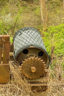 Discarded conveyor belt motor with chain sprocket laying in tall weeds