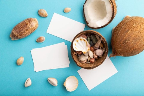 White paper business card with coconut and seashells on blue pastel background. Top view, flat lay,
