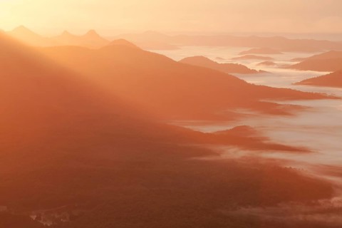 A beautiful sunrise in the Byron Bay Hinterland (east coast of Australia) in NSW. Ground fog in the