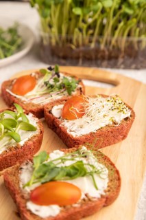 Red beet bread sandwiches with cream cheese, tomatoes and microgreen on gray concrete background.