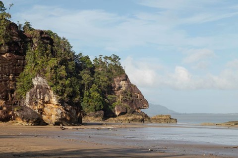 Cliff in Bako national park, sunny day, blue sky and sea. Vacation, travel, tropics concept, no