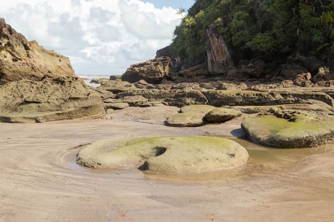 Cliff in Bako national park, sunny day, blue sky and sea. Vacation, travel, tropics concept, no