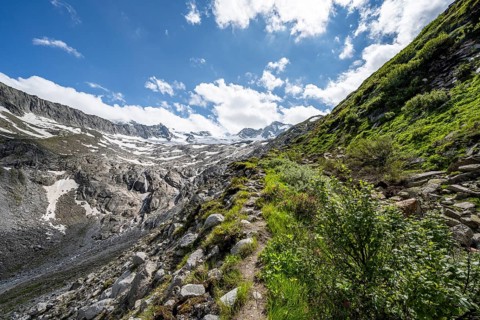 Hiking trail in Bergladnschaft, behind mountain peak and glacier Waxeggkees, Berliner Hoehenweg,