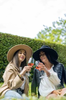 Vertical portrait of beautiful smiling women in hats toasting and drinking wine in park