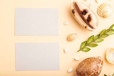 Composition of gray paper business cards, seashells, green boxwood. mockup on orange background.