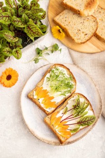 White bread sandwiches with cream cheese, calendula petals and microgreen on gray concrete