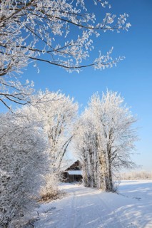 Snowy winter landscape with path and barn near Polling an der Ammer. Polling, Paffenwinkel, Upper