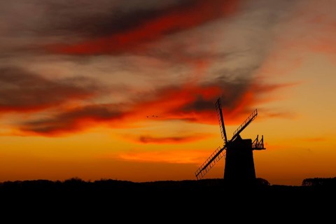 Windmill silhouetted at sunset with a red sky and clouds and three Pink-footed geese (Anser