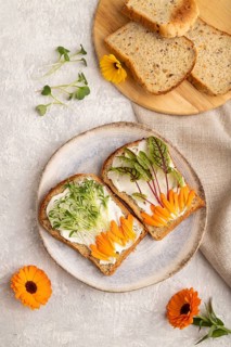 White bread sandwiches with cream cheese, calendula petals and microgreen on gray concrete