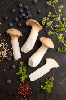 King Oyster mushrooms or Eringi (Pleurotus eryngii) on black concrete background with blueberry,