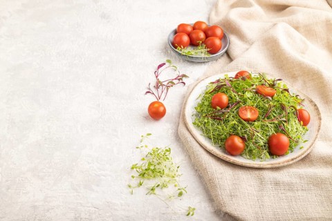 Vegetarian vegetables salad of tomatoes, celery, onion microgreen sprouts on gray concrete