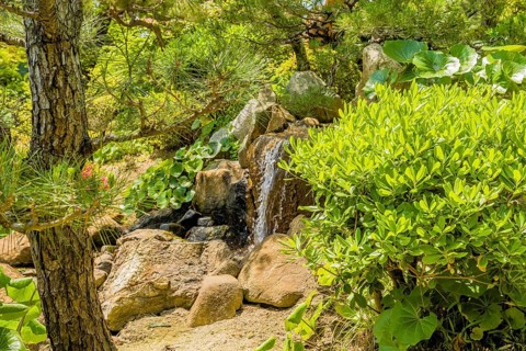 Small waterfall behind shrubbery in Japanese garden park in Hiroshima, Japan, Asia