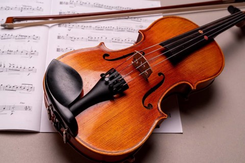 Half viola with bow and music book in front of a monochrome background, studio photograph, Germany,
