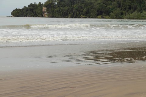 Bako national park, sea sandy beach, overcast, cloudy day, sky and sea. Vacation, travel, tropics