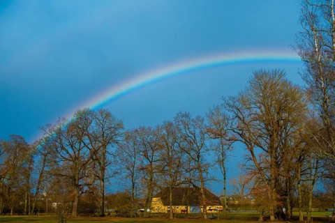 Rainbow over the castle park, Donaueschingen, Baden-Wuerttemberg, Germany, Europe