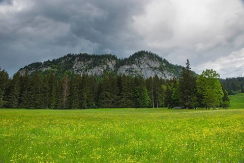Summer austrian landscape with green meadows and impressive mountains, view from small alpine