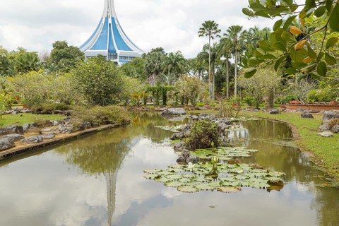 Palm collection in city park in Kuching, Malaysia, tropical garden with large trees, pond with