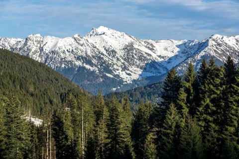 View of Rubihorn, Geissalphorn, Nebelhorn and Schattenhorn, Oberallgaeu, Allgaeu, Bavaria, Germany,