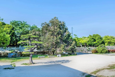 Landscape of trees lining stone wall entrance to Hiroshima Castle in Hiroshima, Japan, Asia