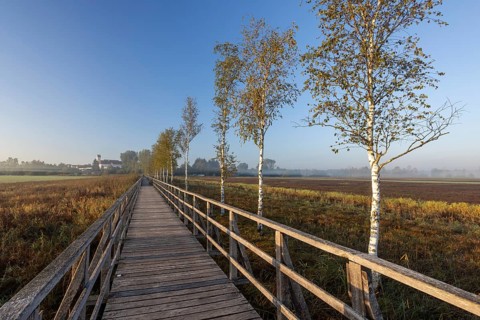 View of Bad Buchau Federsee lake