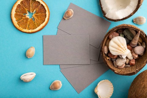 Gray paper business card with coconut and seashells on blue pastel background. Top view, flat lay,