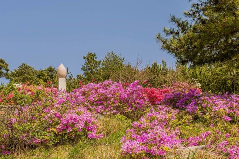 Top of war memorial behind flowerbed at nature park at Goseong Unification Observation Tower in