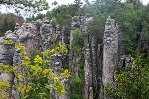 Sandstone rocks rise up in the middle of a dense forest against a cloudy sky, Prachovske skaly,