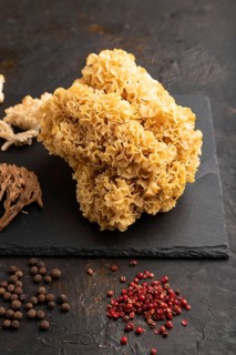 Raw Sparassis (Cauliflower Mushroom), Hericium, Clavaria (coral mushroom) on black concrete