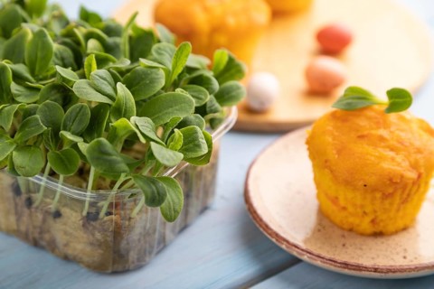 Homemade cakes with chocolate eggs and borage microgreen on a blue wooden background. side view,